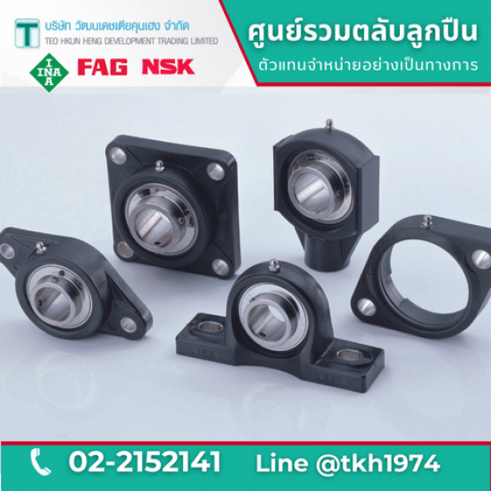 ตลับลูกปืนตุ๊กตาสำเร็จรูป Bearing Units